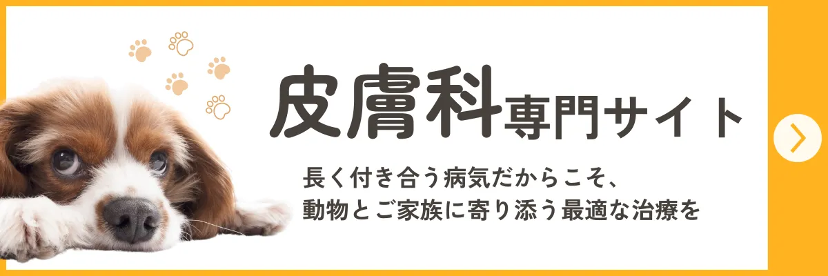 皮膚科専門サイト