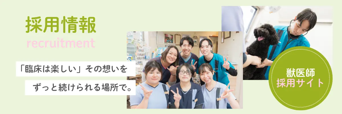 採用情報 獣医師 採用サイト