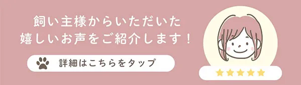 初めての方へ