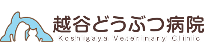 越谷どうぶつ病院