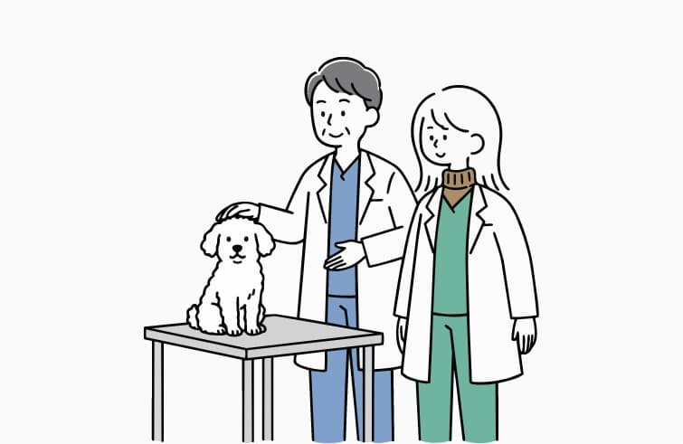 診療デビューする