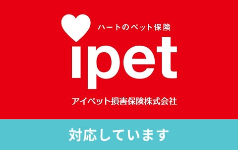 アイペット保険