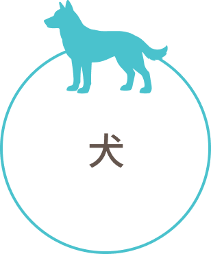 犬