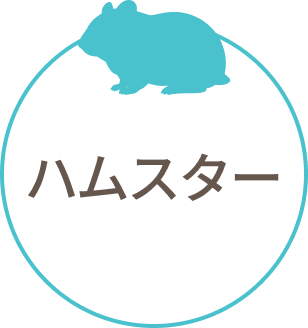 ハムスター