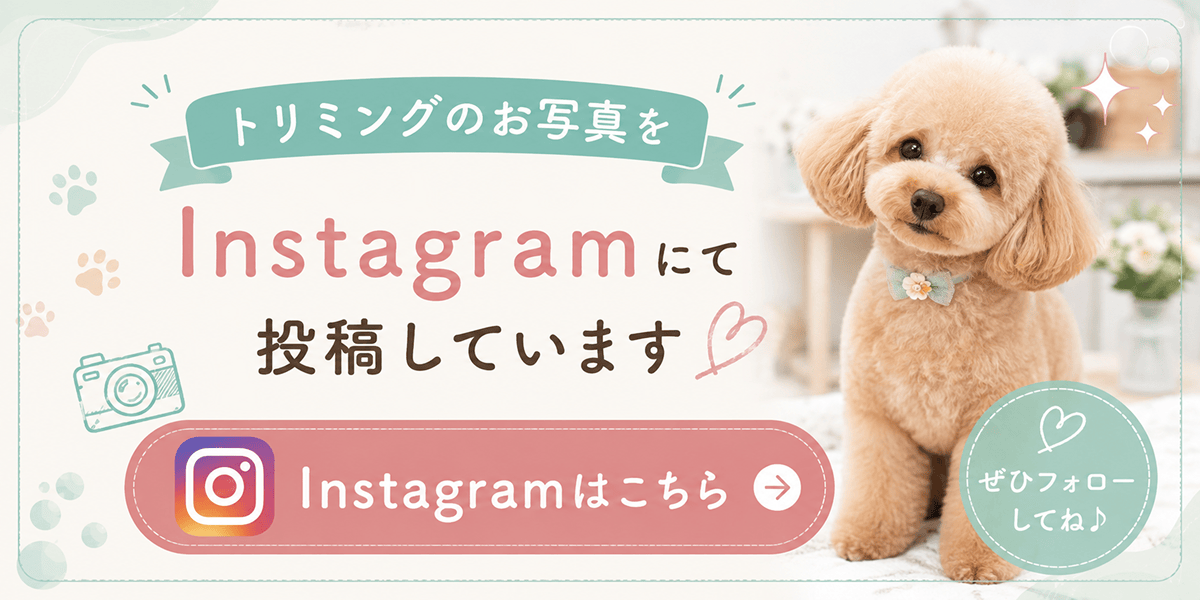 越谷どうぶつ病院のInstagram｜トリミングのお写真をご紹介