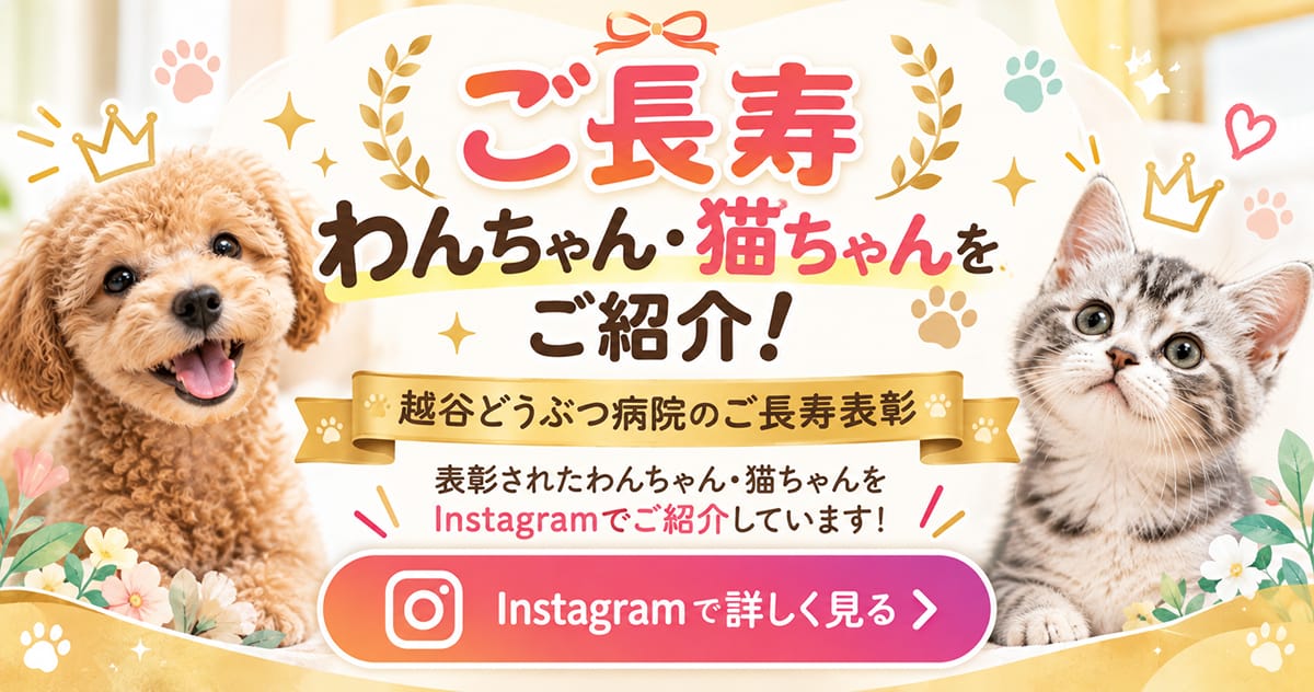 越谷どうぶつ病院のInstagram｜ご長寿わんちゃん・ねこちゃんをご紹介